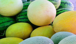 娱乐圈吃瓜最好的地方,揭秘吃瓜圣地，一网打尽热门事件